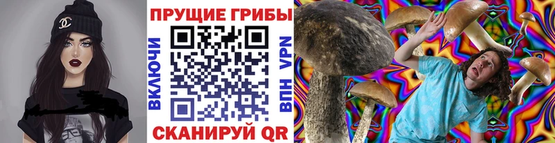 Галлюциногенные грибы Psilocybe сколько стоит Красноармейск