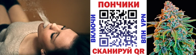 Бошки Шишки VHQ  Красноармейск 
